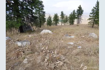 0 Mountain Point Rd, Brewster, WA 98812 - Photo 10