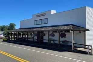 200 Madison St, Ryderwood, WA 98581 - Photo 18