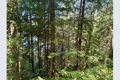 0 E Lake Walker Drive SE, Enumclaw, WA 98022 - Photo 16