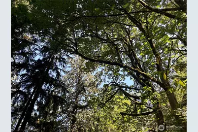 0 E Lake Walker Drive SE, Enumclaw, WA 98022 - Photo 14