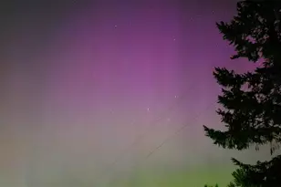 23831 384th Street SE, Enumclaw, WA 98022 - Photo 28