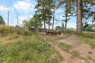 23831 384th Street SE, Enumclaw, WA 98022 - Photo 6