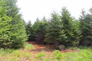 0 Lot E Mill Creek Ln, Longview, WA 98632 - Photo 1