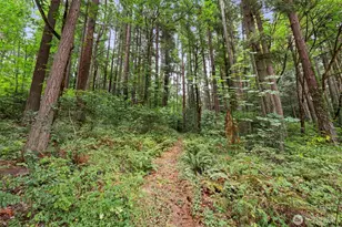 2643 Jackson Hwy, Chehalis, WA 98532 - Photo 2