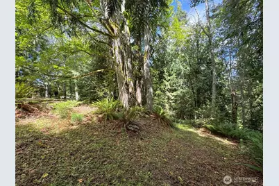 1703 S Golf Course Road, Port Angeles, WA 98362 - Photo 38