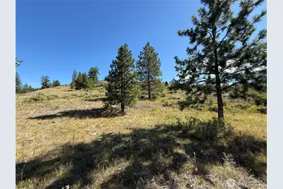0 Lot 12 Lambert Mt. Road, Republic, WA 99166 - Photo 26