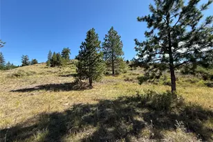 0 Lot 12 Lambert Mt Rd, Republic, WA 99166 - Photo 26