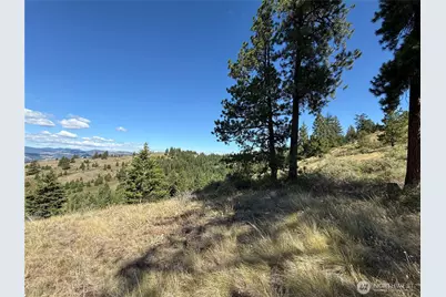 0 Lot 12 Lambert Mt. Road, Republic, WA 99166 - Photo 30