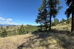 0 Lot 12 Lambert Mt Rd, Republic, WA 99166 - Photo 30