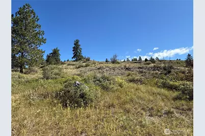 0 Lot 12 Lambert Mt. Road, Republic, WA 99166 - Photo 22