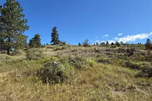 0 Lot 12 Lambert Mt Rd, Republic, WA 99166 - Photo 22