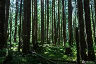 0 Galena City, Sultan, WA 98294 - Photo 1