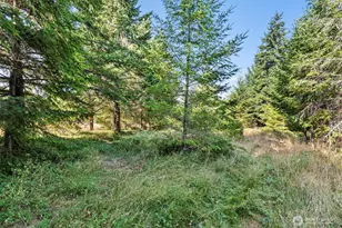 1335 Centralia Alpha Rd, Chehalis, WA 98532 - Photo 32