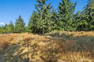 1335 Centralia Alpha Rd, Chehalis, WA 98532 - Photo 30