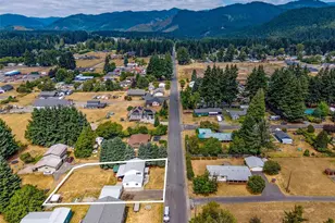 291 Metzger Rd, Carson, WA 98610 - Photo 30