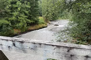 327 Xx Kolisch Road E, Carbonado, WA 98323 - Photo 6