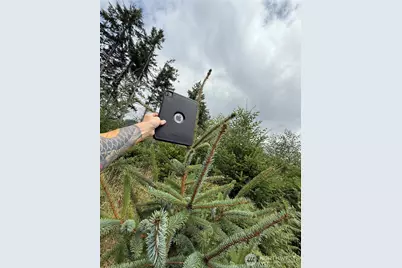 327 Xx Kolisch Road E, Carbonado, WA 98323 - Photo 10