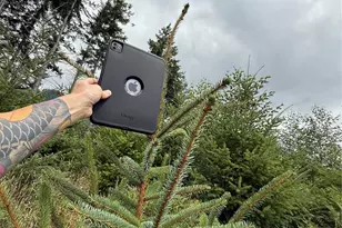 327 Xx Kolisch Road E, Carbonado, WA 98323 - Photo 10