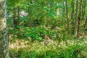 36922 6th Ave SW, Federal Way, WA 98023 - Photo 6