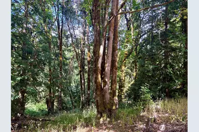 17411 64th Street Ct NW, Vaughn, WA 98394 - Photo 22