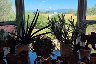 3496 Walltine Rd, Ferndale, WA 98248 - Photo 8