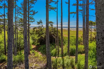 34 Seaside Lane, Pacific Beach, WA 98571 - Photo 2