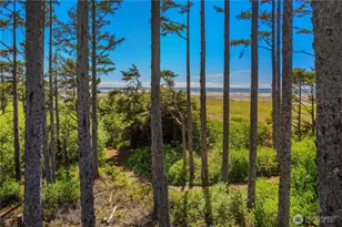 34 Seaside Ln, Pacific Beach, WA 98571 - Photo 2