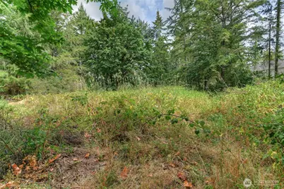 2411 Sleater Kinney Road NE, Olympia, WA 98506 - Photo 6
