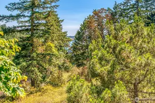 239 Killebrew Lake Rd, Orcas Island, WA 98280 - Photo 2