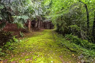 4802 Olympic Hwy, Aberdeen, WA 98520 - Photo 34