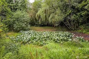 4802 Olympic Hwy, Aberdeen, WA 98520 - Photo 32