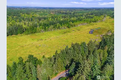 0 Bald Hills Road, Yelm, WA 98597 - Photo 10