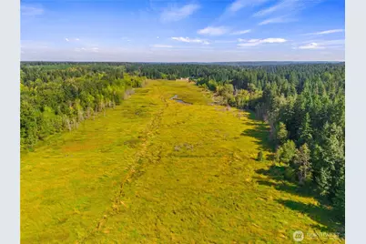 0 Bald Hills Road, Yelm, WA 98597 - Photo 8