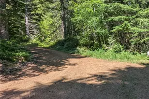 111 Dow Mtn Rd, Hoodsport, WA 98548 - Photo 1