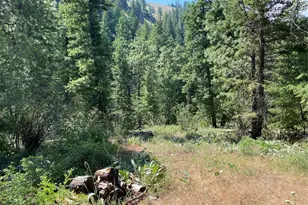 0 Big Springs Ranch Rd, Malaga, WA 98828 - Photo 22