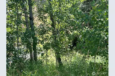 1475 Havillah Road, Tonasket, WA 98855 - Photo 38