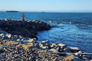 871 Neddie Rose Dr, Westport, WA 98595 - Photo 1