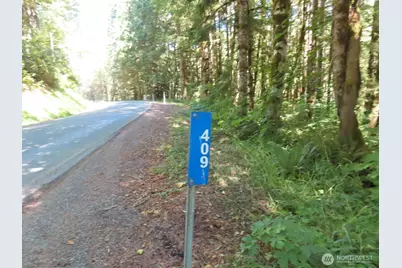 0 Salmon Creek Road, Mossyrock, WA 98564 - Photo 20