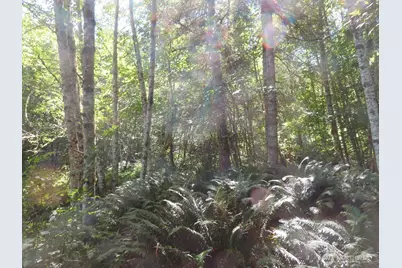 0 Salmon Creek Road, Mossyrock, WA 98564 - Photo 16