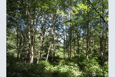 0 Salmon Creek Road, Mossyrock, WA 98564 - Photo 18