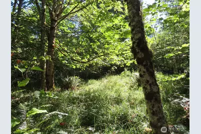 0 Salmon Creek Road, Mossyrock, WA 98564 - Photo 4