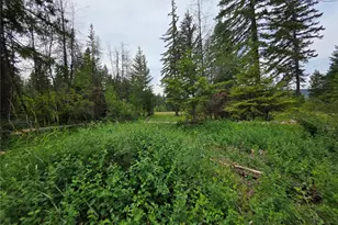 0 Lot 2 Nelson View Way, Cle Elum, WA 98922 - Photo 34