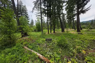 0 Lot 2 Nelson View Way, Cle Elum, WA 98922 - Photo 28