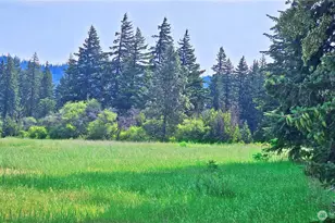 0 Lot 4 Darling Way, Cle Elum, WA 98922 - Photo 28