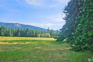 0 Lot 4 Darling Way, Cle Elum, WA 98922 - Photo 32