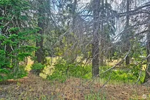 0 Lot 4 Darling Way, Cle Elum, WA 98922 - Photo 36