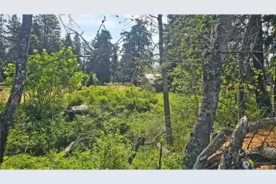 0 Lot 4 Darling Way, Cle Elum, WA 98922 - Photo 34