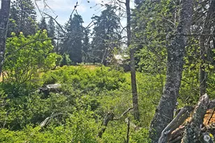 0 Lot 4 Darling Way, Cle Elum, WA 98922 - Photo 34