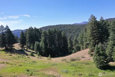 100 Spring Meadow Lane, Oroville, WA 98844 - Photo 26