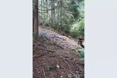 3659 Green Mountain Road NW, Bremerton, WA 98312 - Photo 22
